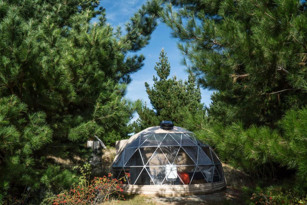 Mt Gold Glamping Hotel Wanaka Ngoại thất bức ảnh